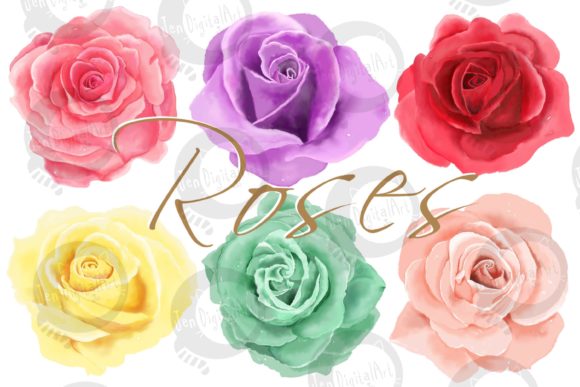 6 Digital Watercolor Roses: Branding Illustrations