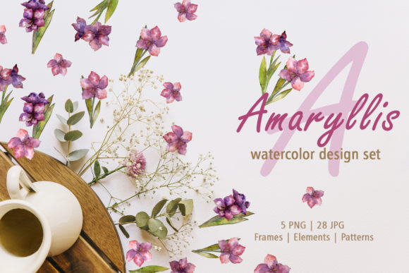 Amaryllis Design Set Watercolor Png Review