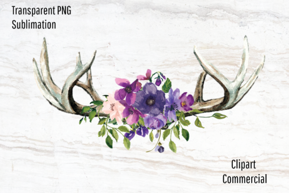 Boho Antlers, Purple Watercolor Flowers Illustrations