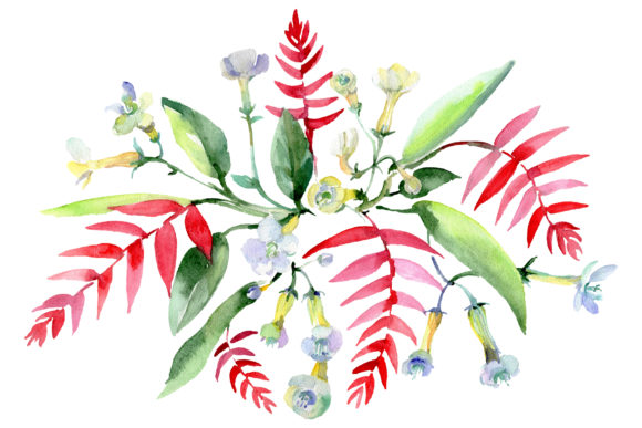 Bouquet Ariel Watercolor Illustrations Review