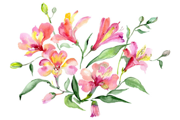 Bouquet Red World of Good Watercolor Illustrations