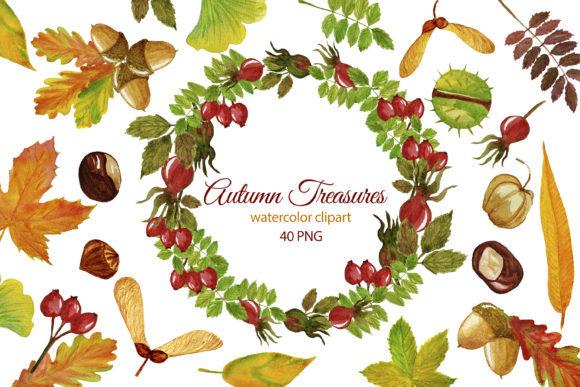 Fall Clipart: Watercolor Autumn Leaves & Illustrations