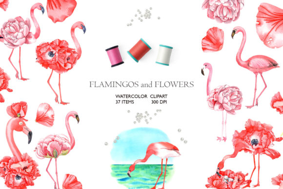 Flamingos and Flowers Watercolor Clipart Review