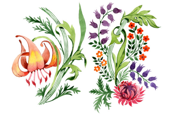 Floral Ornament Sunny Watercolor Illustrations