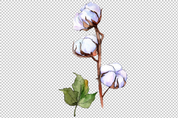 Flower Soft Cotton Watercolor Illustrations
