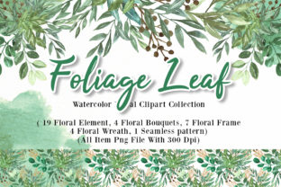 Foliage Leaf Watercolor Illustration Review