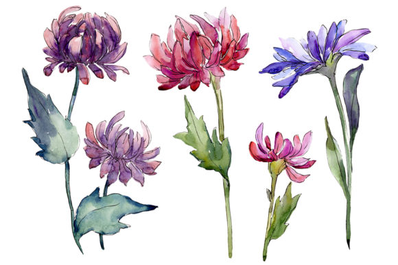 Forest Fairy Watercolor PNG Illustrations Review
