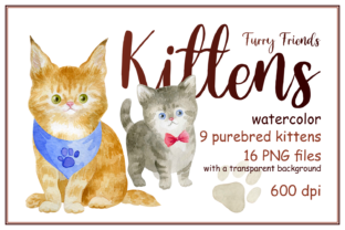 Furry Friends. Kittens. Watercolor Illustrations