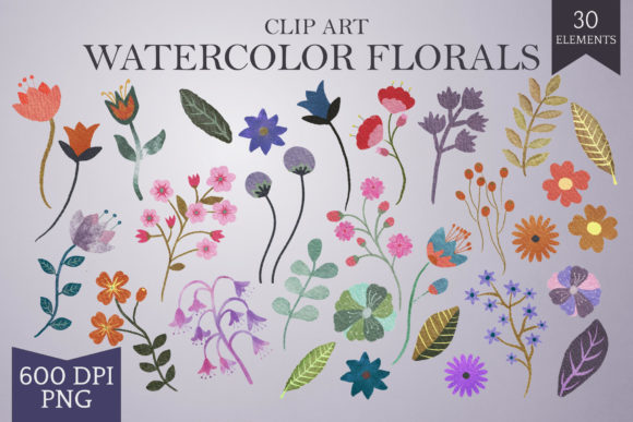 Hand-drawn Watercolor Floral Elements Review