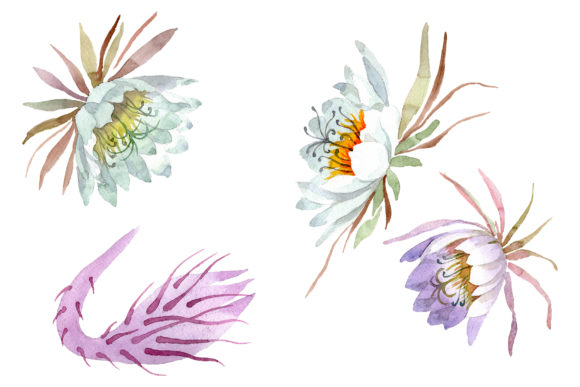 Kadupul Watercolor: A Designer's Real-World Review
