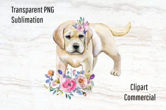 Lab Puppy Sublimation Design Watercolor Illustrations