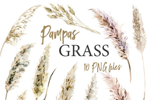 Pampas Grass Watercolor Boho Clipart & Illustrations