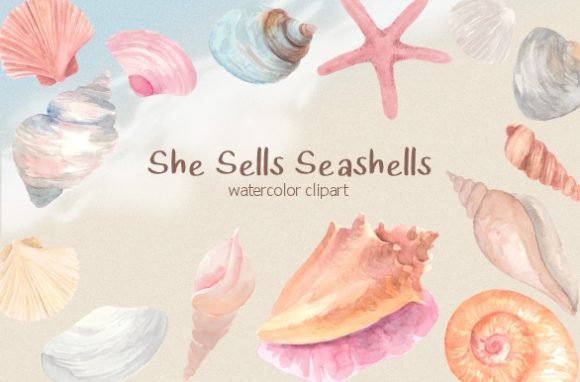 Pastel Seashells Watercolor Clipart Set Review