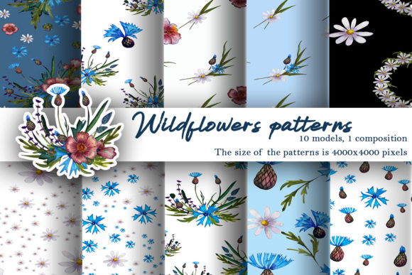 Patterns Watercolor Wildflowers Illustrations Review