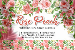 Rose Peach Watercolor Illustration Review