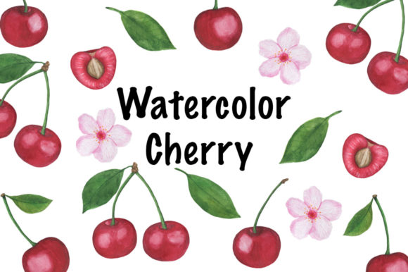 Set Cherry Watercolor Illustrations Review
