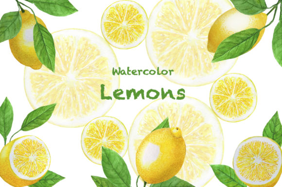 Set Lemons Watercolor Illustration Review