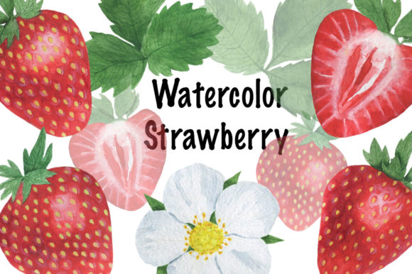Set Strawberry Watercolor Illustrations Review
