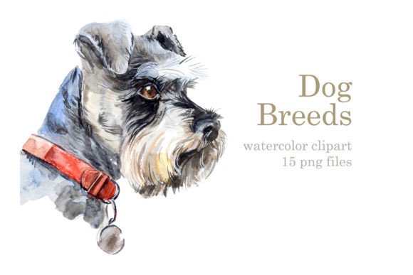 Set Watercolor Dogs: Branding Illustrations Review