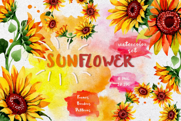 Sunflower Watercolor Flower Set & Illustrations