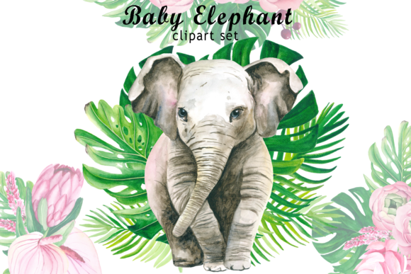 Watercolor Baby Elephant Clipart & Illustrations