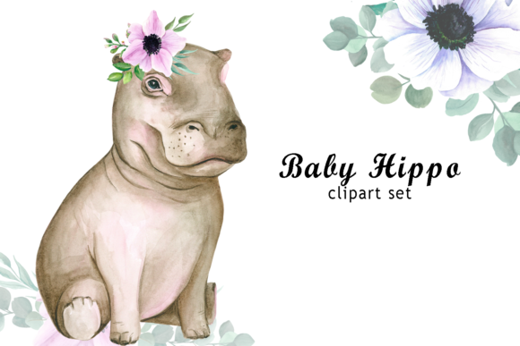 Watercolor Baby Hippo Clipart & Illustrations