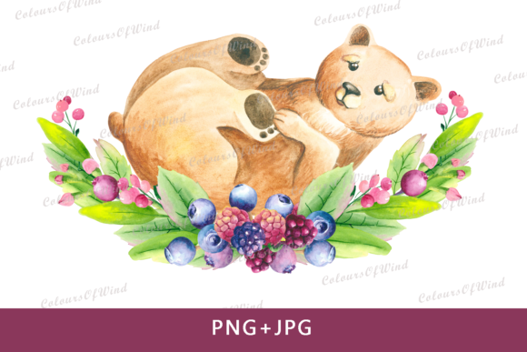 Watercolor Bear Sublimation Design Review