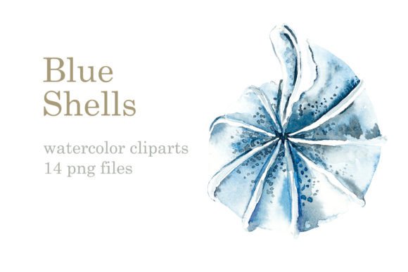 Watercolor Blue Sea Shells Illustrations