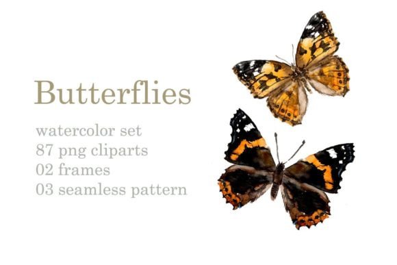 Watercolor Butterflies & Insects Illustrations
