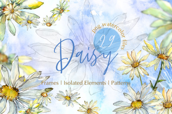 Watercolor Daisy PNG Set & Illustrations