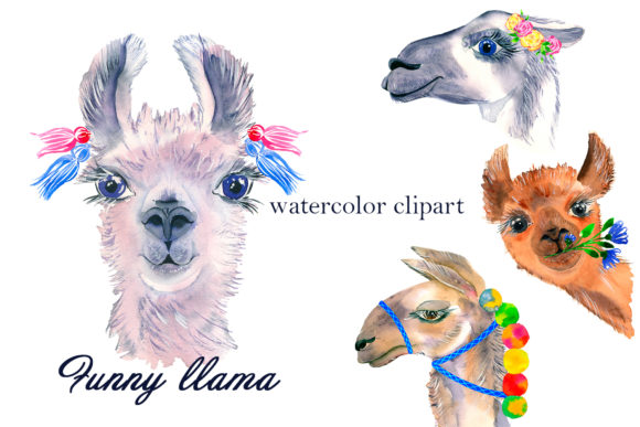 Watercolor Lama Clipart & Illustrations Review