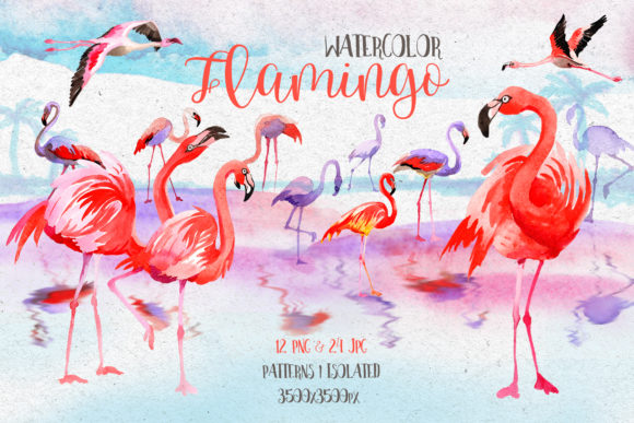Watercolor Pink Flamingo PNG Set: Illustrations Review