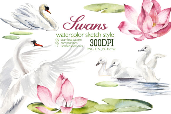 Watercolor Swans: Elegant Illustrations