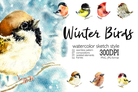 Watercolor Winter Birds Set Illustrations