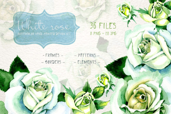 White Rose Watercolor PNG Flower Set & Illustrations
