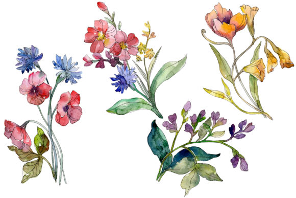 Wildflowers the Beauty Watercolor Review