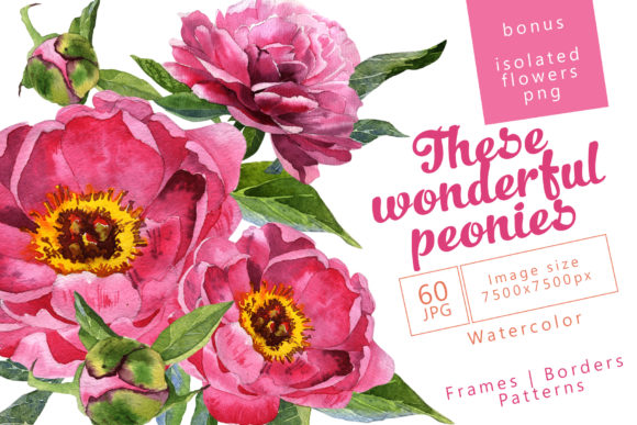 Wonderful Peonies Watercolor Set: Illustrations Review